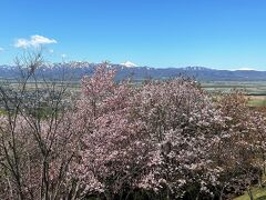 奈井江町は米どころ。
目の前には田植えにはまだ早い田んぼが広がっています。

そして目の前にはまだ雪をかぶった樺戸連山の「ピンネシリ」が見えています。