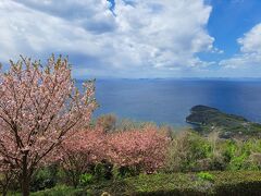 紫雲出山桜まつり