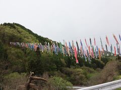 ちょっと移動して
片品「咲花の湯」に入りにきまして
近くの川にこいのぼり