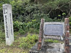 この日の観光は、まずは川平にある、荒川の滝へ。
こちらは、ヒガンザクラガ自生しているそうで、記念碑がありました。
川平から北部に向かう道で、これを目印に訪れてください。