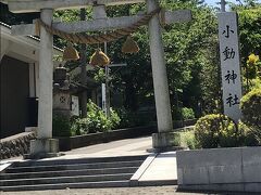 小動神社です。
こゆるぎじんじゃと読むそうで歴史ある神社です。
なんだか鳥居もパワースポット的な雰囲気を醸し出していました。
