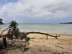 晴れ間ものぞくと映える