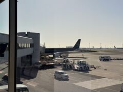 朝の羽田空港。黒いボディがかっこいいスターフライヤー。早朝4時起きだったので機内ではほとんど寝ていました。まるで瞬間移動した気分です。