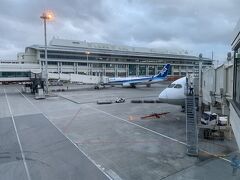 那覇空港、着いてみたら暖かくないのです。冷たい空気で気温は低めでした。