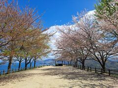 旅の目的の紫雲出山の桜は、葉桜だったけどそれでも絶景を楽しんだ。