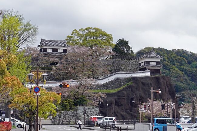 トラピックス 九州第一位の名湯「別府温泉」４日間（7）別府の地獄