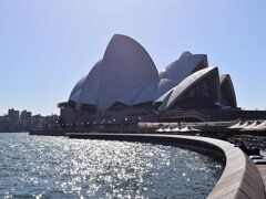 この日はめっちゃいい天気！
オペラハウスも映える！

オーストラリアの季節は秋で、ちょうど気温も日本と同じくらいなので、日本と同じ格好で行ったら、朝晩寒く、昼は暑い。