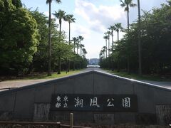 潮風公園。かなり広い公園のようなので、中に入るのはやめておきました。南国風の樹木がいいですね。