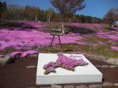 芝ざくら滝上公園