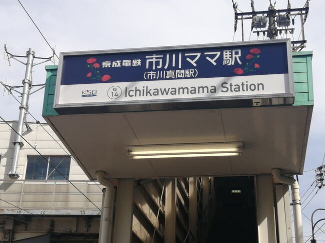 23 千葉 市川真間駅の母の日イベントにいってみた』市川(千葉