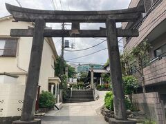 植物園から歩いて白山神社へ。
琉球8社めぐりをしたけど、東京10社めぐりはまだなので、まずは白山神社から。
