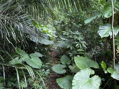 お花を満喫した後は、絶景を目指して、ぶざま岳登山です。