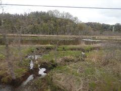 根室本線（花咲線）２　別寒辺牛湿原
＜JR花咲線ローカル列車／ラムサール条約登録湿地を横断！大自然を車窓から＞だそうです