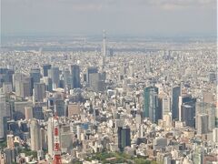 東京タワー～東京スカイツリー