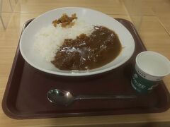 帰りの晩御飯はサービスエリアのカレーで締めました。