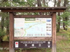 いよいよ天橋立公園へ。
今まで天橋立を上から眺め、海上から眺め、今度は松林の中を通っていきます。

松林の中を徒歩で歩くと約1時間ほど。

林から見える砂浜は穏やかで美しい景色でした。