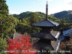 法華山一乗寺三重塔