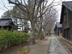 次の列車まで、特急は無くて、普通列車も2時間待ち。なので、「酒田夢の倶楽」まで歩いて行ってみることにした。
国指定史跡である昔の米保管用の山居倉庫を改装した物産館。酒田はおしんの故郷でもあり、おしん人形ギャラリーが常設されている。（今では知らない人も多いかもしれないが、1983年のNHK朝ドラで、最高視聴率は60%を超えた）
倉庫横のケヤキ並木も見事。わざわざ行くところでもないが、時間があったら寄ってみたいところ。