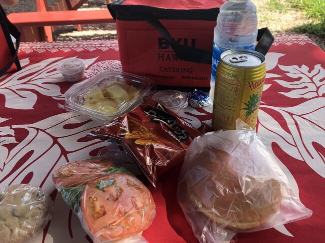 中味はこんな感じ。パイナップルが一番美味しかった。