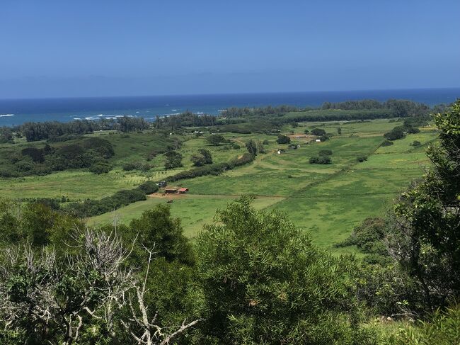 海の方まで見えます