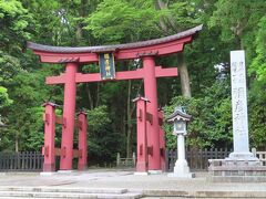 徒歩で10分程で、一の鳥居に着きました。

彌彦神社
広々とした越後平野の中央に聳えたつ弥彦山の麓に鎮まります
彌彦神社は、古くから「おやひこさま」と呼ばれ、心のふるさと、
魂のよりどころとして多くの人から広く親しまれてきました。
境内はうっ蒼たる樹林に覆われ、亭々たる老杉、古欅は見るからに
神々しく、日本最古の万葉集には、弥彦神社を詠んだものが
二首歌われています。
 「伊夜比古おのれ神さび 青雲のたなびく日すら 小雨そぼ降る」
 「伊夜比古 神の麓に今日らもか 鹿の伏すらむ皮衣きて 角つきながら」
 御祭神は天香山命「アメノカゴヤマノミコト」で神武天皇の命を受け、
住民に海水から塩をつくる技術、漁、稲作など農耕術などの基礎を
教えられたとのこと。 
神社の社殿は、明治の大火に炎上し、大正５年に再築されました。
平成13年に平成大修営事業として、本殿の御屋根葺替え等８５年ぶり
の改築工事を行いました。
【（一社）弥彦観光協会・弥彦観光案内所のホームぺージより引用】

