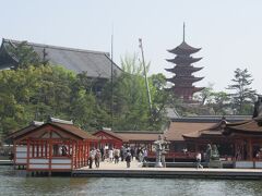 西松原から見た満潮の厳島神社
五重塔も見えてます。