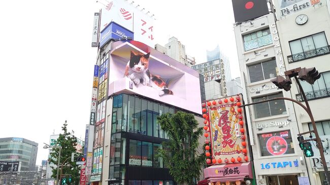 eye：新宿 激変の63年 喧騒とぬくもりと [写真特集13/17