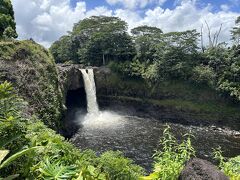 山を下り、ヒロの街に近づいたところで最初の目的地、レインボーフォールズに到着。滝の近くに虹が見えるのにはいくつかの条件があるようですが、今回は残念ながら虹は見えず。でも水量も豊富で迫力がありました。近くには大きな木も生い茂っています。