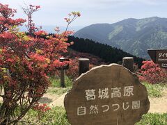 山頂駅から歩いて15分程度で自然つつじ園についた(^_^)