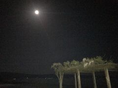 満月が近いのと、明日午後から天気が崩れるので、海散策するなら今夜しかない！
道中、めっちゃ静かだし真っ暗で怖かった！

海岸沿いに道路があって街灯があるせいか、思ったほど星空が見えなかった。昔は道路なかったなあ、、