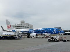 那覇空港に到着するとバスで空港ターミナル移動。
横を見るとJTAのジンベイジェットのジンタ君を見つけました！
すかさず撮影、乗ったことが無いのでいつか乗ってみたい！