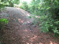 深大寺城跡へ上がってきました。16世紀前半に小田原北条氏と扇谷上杉氏が戦い、上杉氏が再興した城館跡が残っています。復元された当時の土塁や空堀があります。