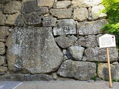 てくてく歩いて、上田城跡公園へ。お城の跡なので、天守閣などはありません。石垣などが残っているだけ。このひとつだけ大きな石は「真田石」というらしい。