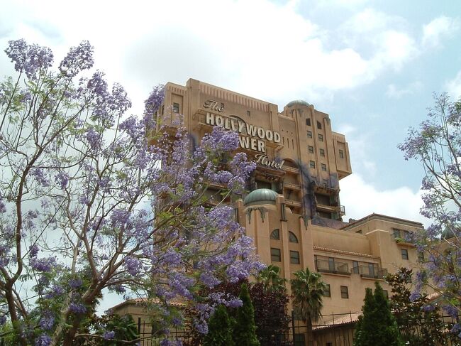 希少⭐︎カリフォルニア　ディズニーランド50周年　ディズニーダラー　アナハイム ☆50周年を迎えたアナハイムディズニーランド☆』アナハイム