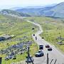 春を味わう母と息子の四国旅♪松山編　愛媛の柑橘ぶり　③