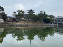 猿沢池と興福寺