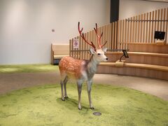 奈良公園バスターミナル
いろんな展示物がありました。
綺麗なトイレも完備。