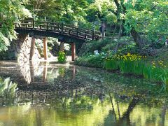 日本庭園に出ました。