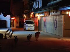 帰り道、商店街の入口でも鹿に遭遇しました。
