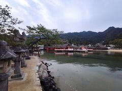 （厳島神社1/3）
厳島神社は、無事海の上にありました。朝早く起きて広島から阿品まで立っていた甲斐がありました。
ただ、神社の奥のほうになると、さすがに建物の土台がしっかり確認できます。
本当に海に浮かんでいるような神社を見るには250cmでは足りないということです。

まだ午前7時にすらなっていないにもかかわらず、厳島神社には写真撮影の列ができていました。
とはいえ、周囲に人は多くなく、のんびりと風景を眺めることができました。