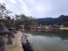 （厳島神社1/3）
厳島神社は、無事海の上にありました。朝早く起きて広島から阿品まで立っていた甲斐がありました。
ただ、神社の奥のほうになると、さすがに建物の土台がしっかり確認できます。
本当に海に浮かんでいるような神社を見るには250cmでは足りないということです。

まだ午前7時にすらなっていないにもかかわらず、厳島神社には写真撮影の列ができていました。
とはいえ、周囲に人は多くなく、のんびりと風景を眺めることができました。