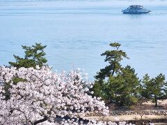 （あせび歩道1/3）
清盛神社前から橋を渡ってまっすぐ進み、階段を上ると、あせび歩道に出ました。
残念ながら多宝塔は工事中でしたが、あせび歩道から見る宮島の街並みと一面の桜はとてもきれいでした。