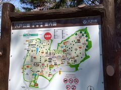 八戸公園の前を通り