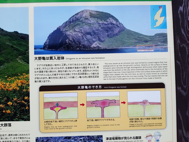 なので、近くに有った説明板を。<br />この後ホテルへ向かいました。