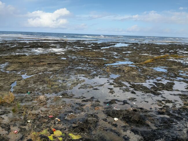 これは万畳敷。<br />海底が地震によって盛り上がってできた平らな土地（隆起波食台と言うらしいです）で、岩ノリ採集に適しているとか。<br />ゴミがチョット気になります。
