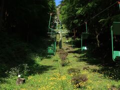 神社の駐車場を抜けると、津和野城跡に向かうためのリフト乗り場があります。朝9時過ぎに乗りました。お花が咲いていて、気持ちよい！