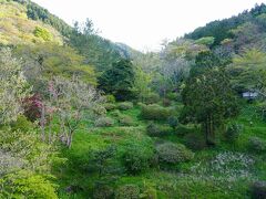 翌朝は5時過ぎに目が覚めてしまったのでまずはひと風呂浴びて目を覚まします。