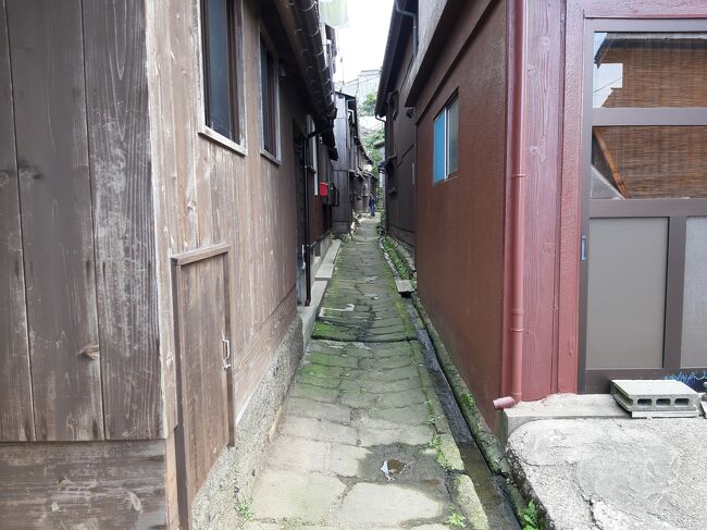 板壁の家が密集した、こんな狭い路地をガイドさんの案内で見学して行きます。