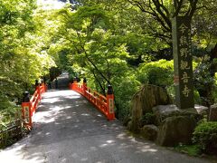 大門を出て泉涌寺道を少し下りすぐに右折すると、塔頭の今熊野観音寺参道。青もみじが見事。
