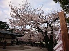 千鳥ヶ淵のボートに乗りたがる順番待ちの長い列に並ぶのはほとんど外国人。
もうちょっと静かなところにしよう、と靖国神社の桜を見る。